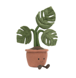 Amuseables Monstera Plant
