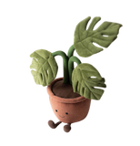 Amuseables Monstera Plant