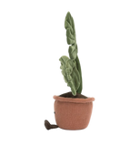 Amuseables Monstera Plant