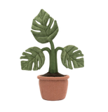 Amuseables Monstera Plant