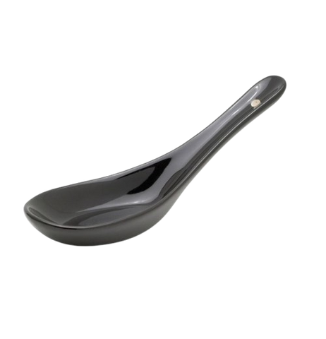 Black Asian Soup Spoon