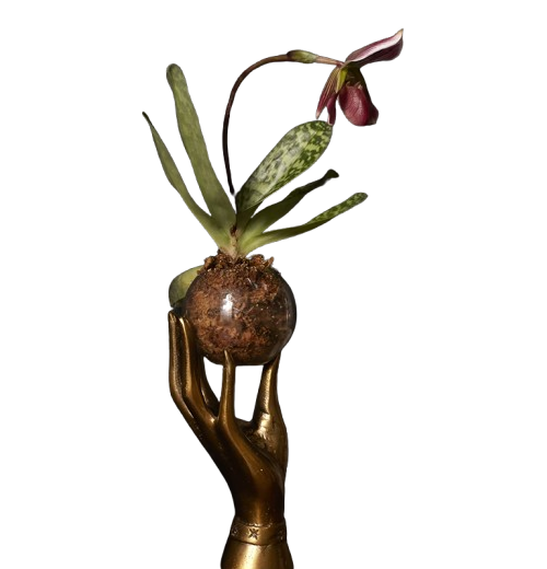 Goldtone Psychic Hand with Glass Terrarium