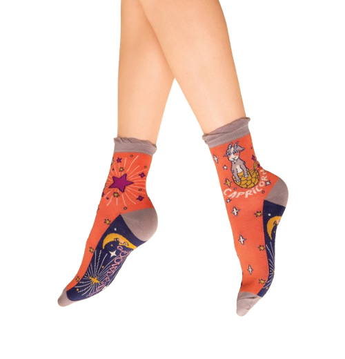 Zodiac Socks: Capricorn