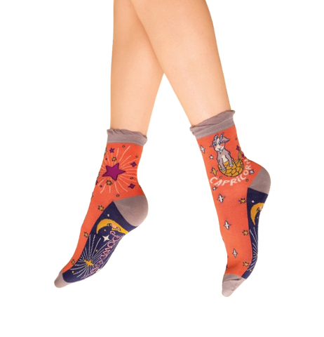 Zodiac Socks: Capricorn
