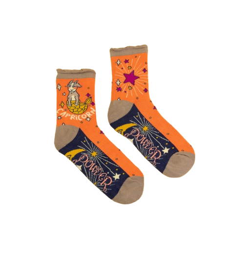 Zodiac Socks: Capricorn