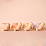 Turtle Planter | Sunset : Medium