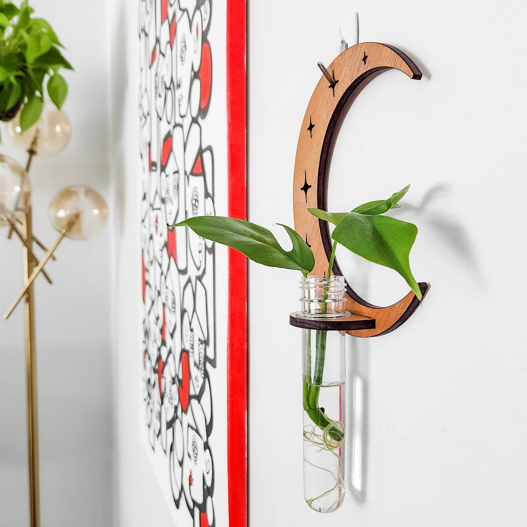 Wall Hanging Propagation Station Wooden Moon &amp; Stars