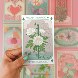 Seeds White Marigold Tarot Art Packet
