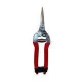 Garden Shears--Needle Nose: Woodland Garden
