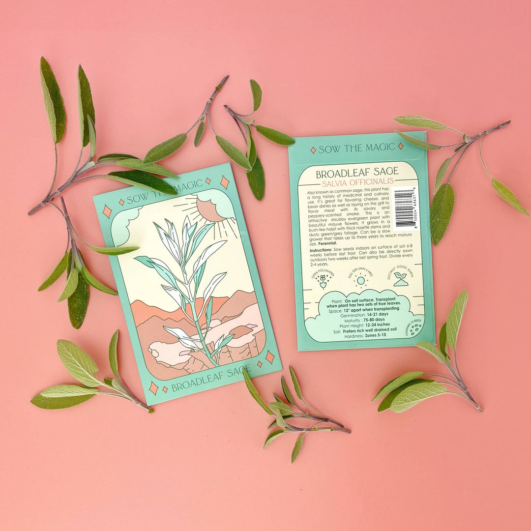 Seeds Broadleaf Sage Culinary Herb