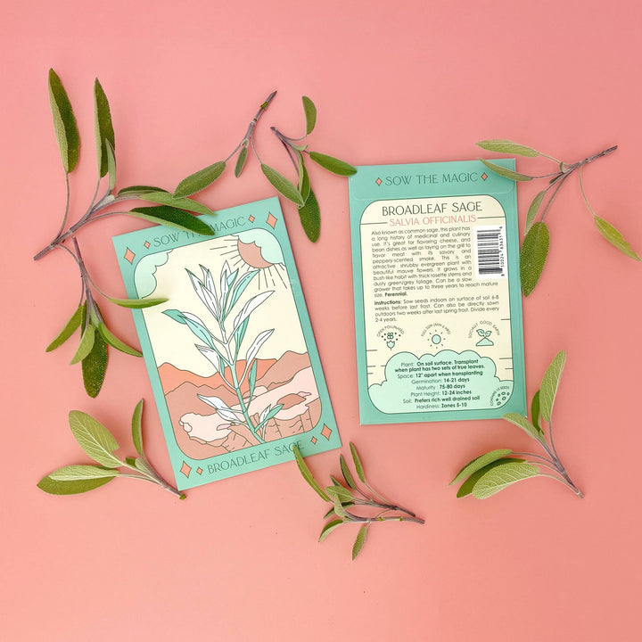 Seeds Broadleaf Sage Culinary Herb