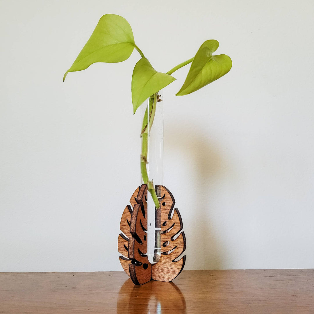 Test Tube Propagation Station Monstera Test Tube Holder