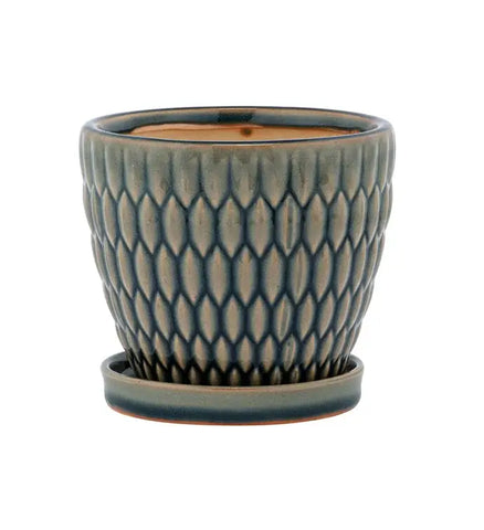 4.5" Gray Embossed Ovals Pot with Saucer