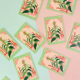 Seeds Stinging Nettle