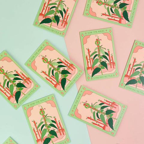 Seeds Stinging Nettle