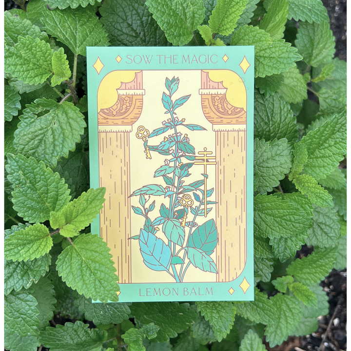 Seeds Lemon Balm