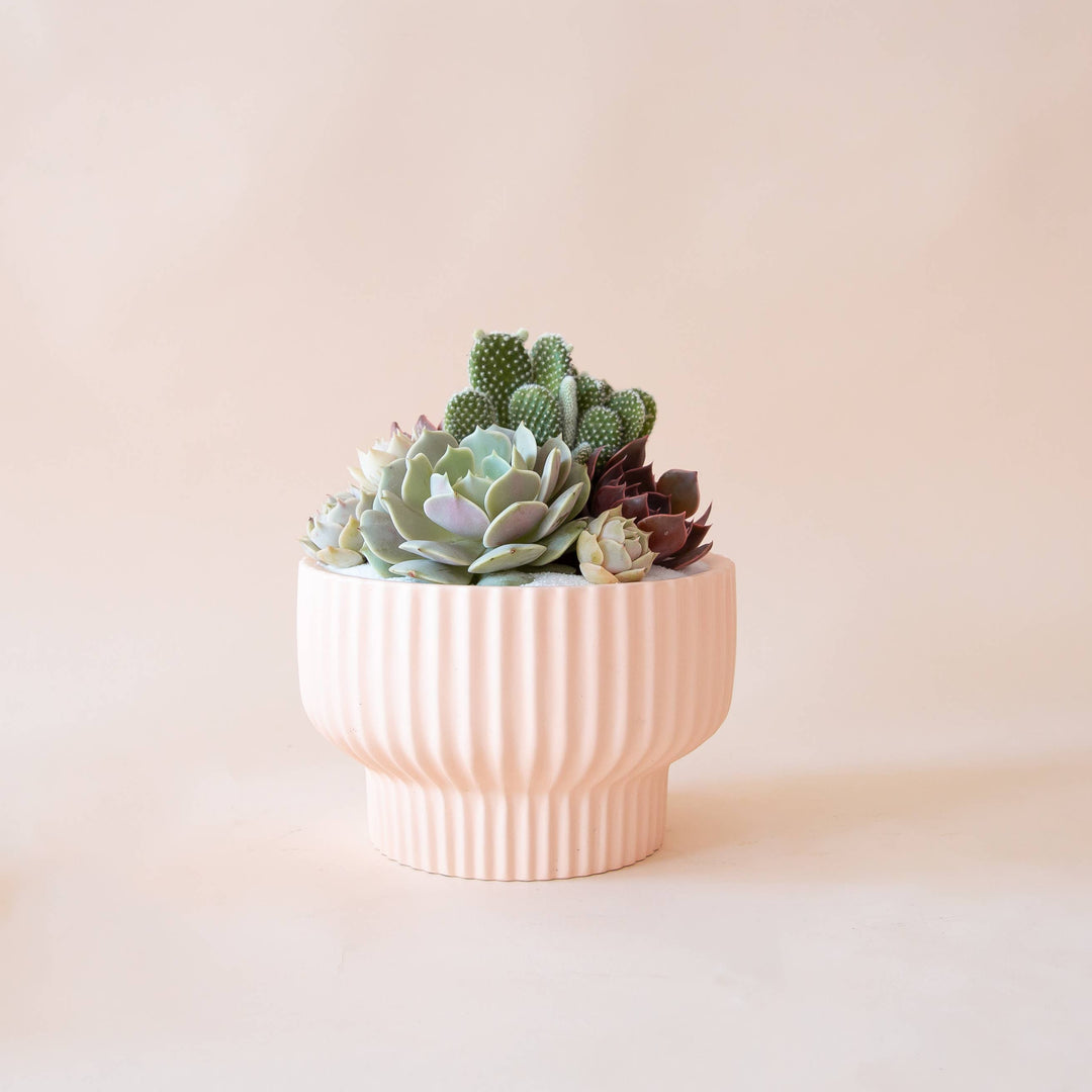 Presley Pedestal Planter - Ballerina 4.5 inch
