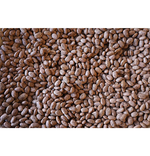 Pinto Beans