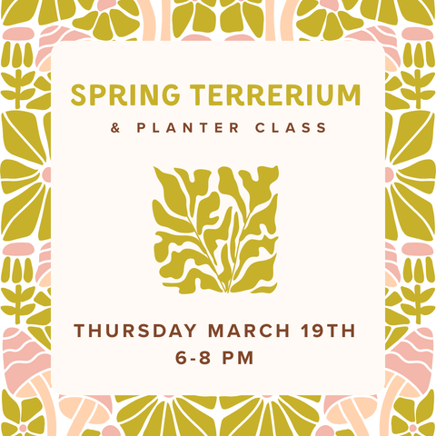 Spring Terrarium & Planter Class