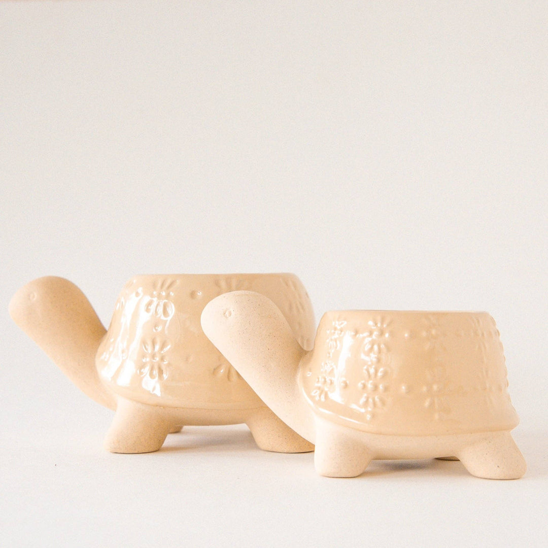 Turtle Planter | Sand: Medium