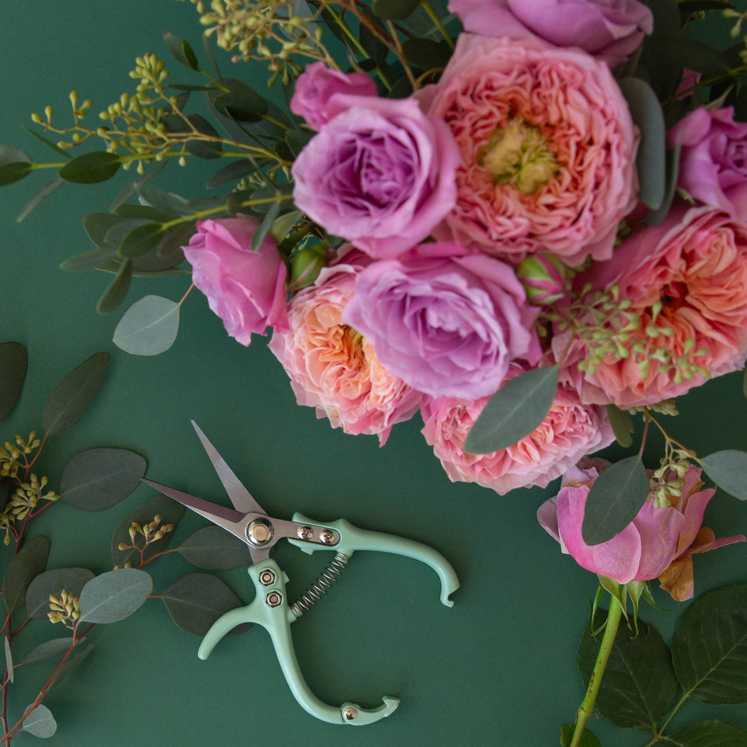 Pruning Shears | Lagoon