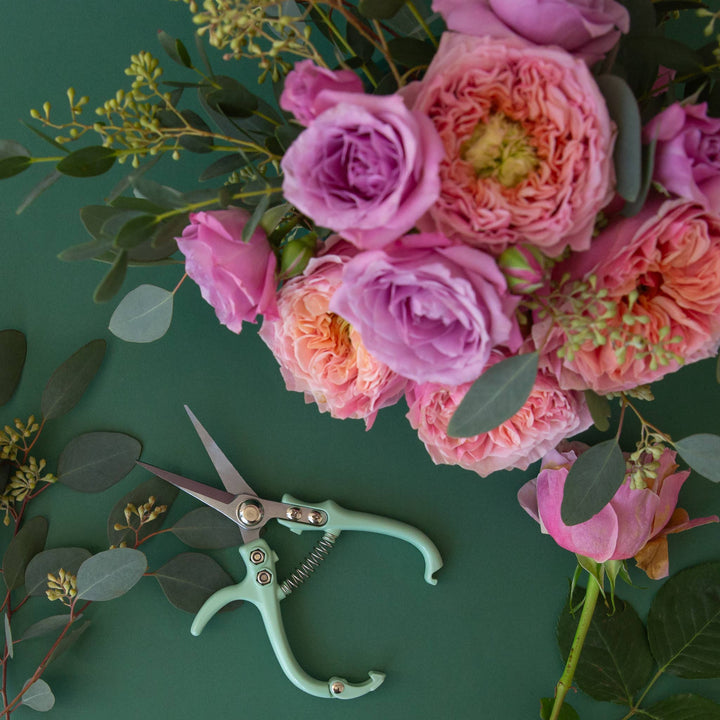Pruning Shears | Lagoon