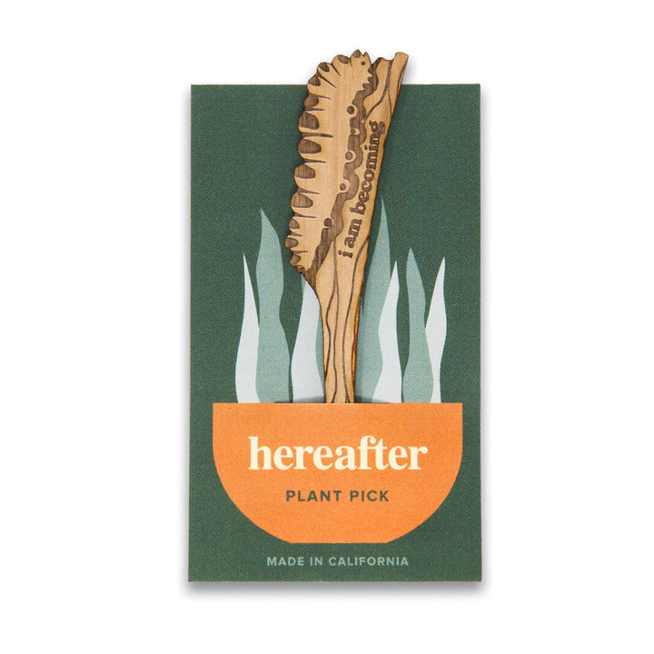 Caterpillar Wood Plant Pick &