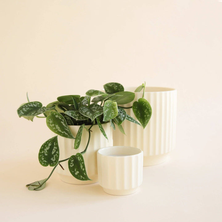 Monroe Pot - Vintage White 6.75 inch