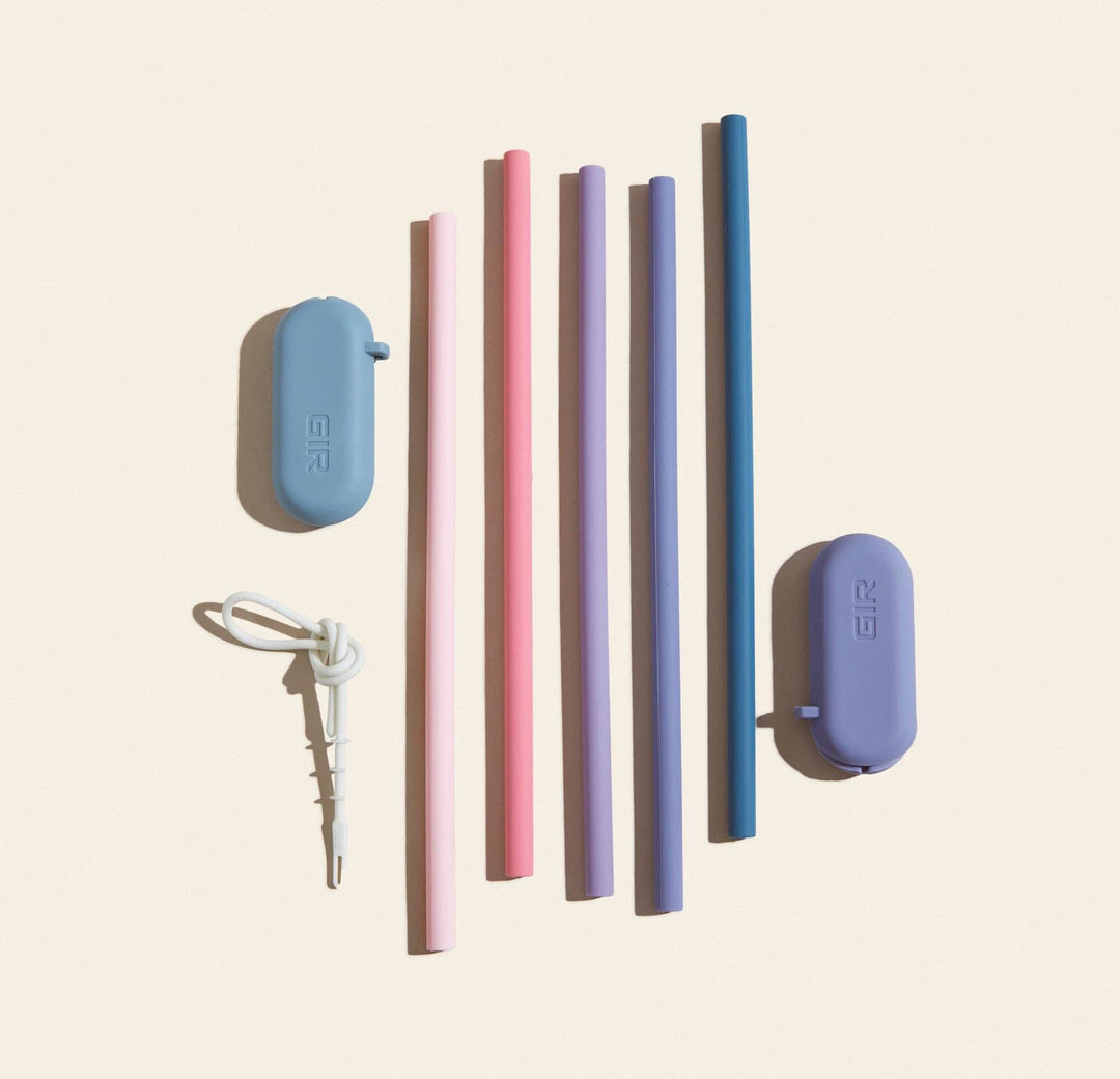Traveler Straw 2-Pack