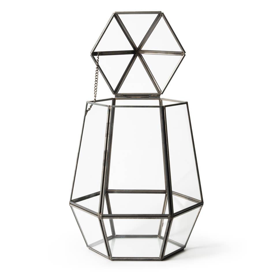 Glass Terrarium: Large
