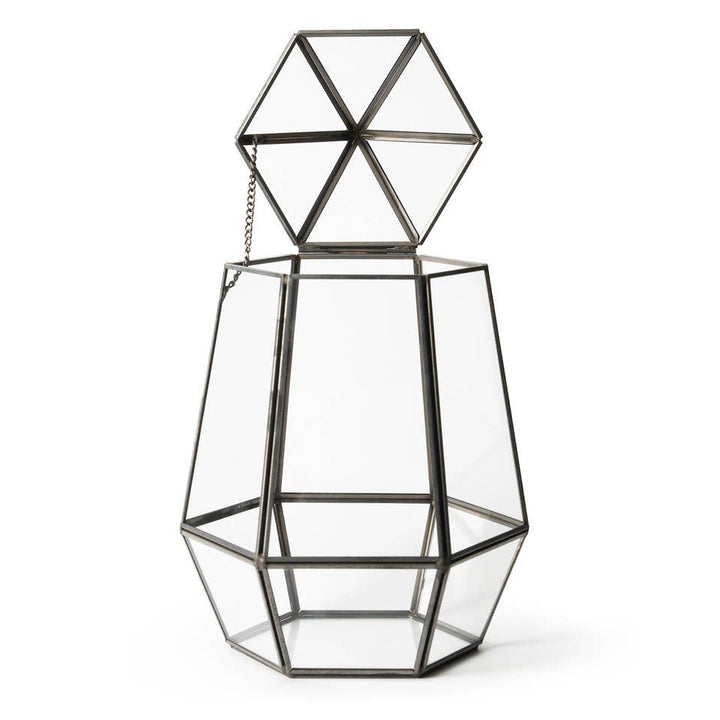 Glass Terrarium: Large