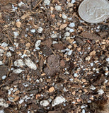 Soil (1Qt) Houseplant Chunky Mix (Aroid/Tropical Mix)