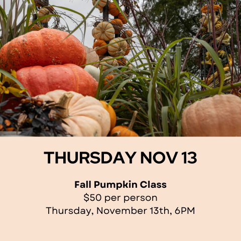 Fall Pumpkin Class Thursday Nov 13th