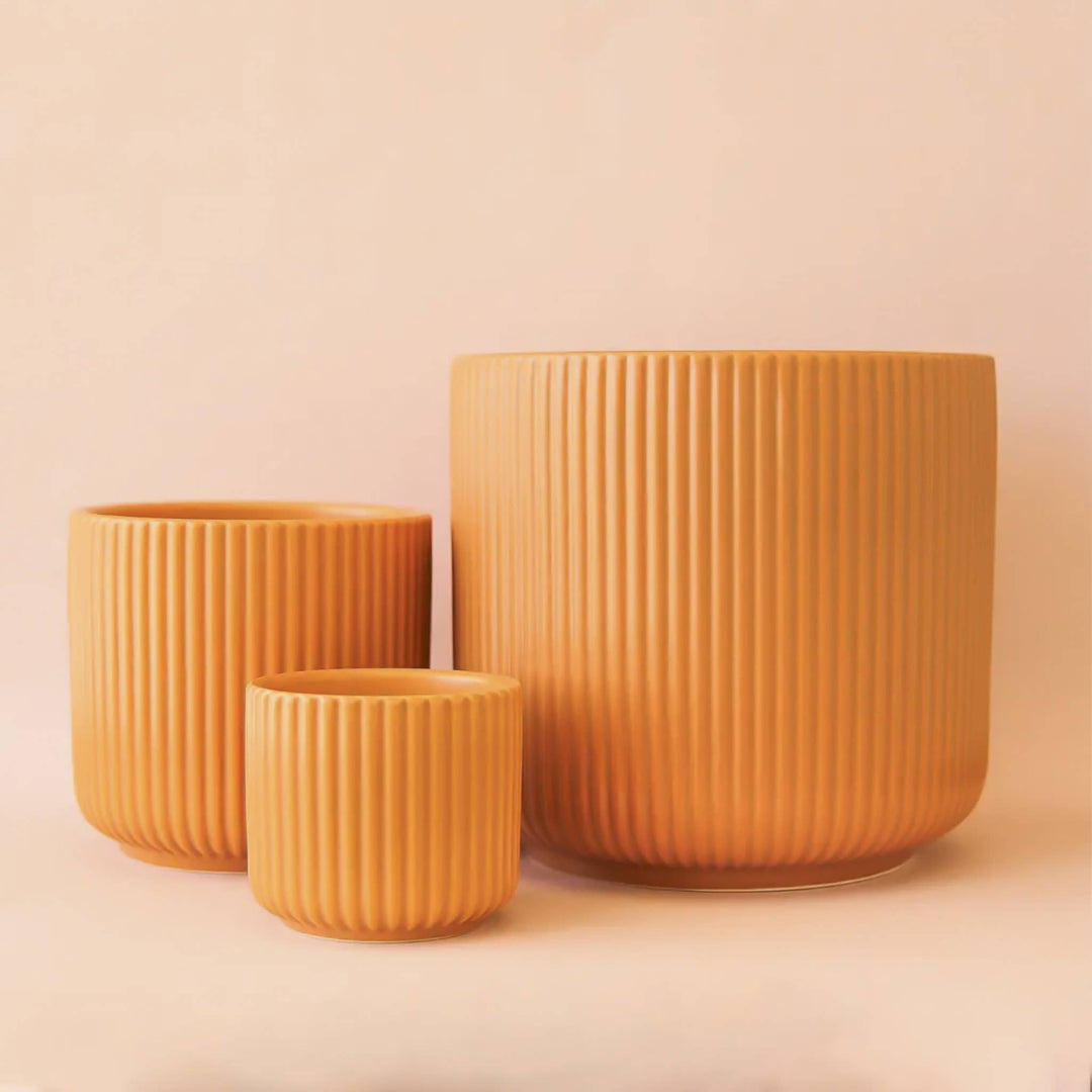 Lucy Planter | Ginger: 3 inch