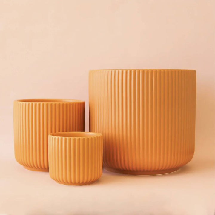 Lucy Planter | Ginger: 3 inch
