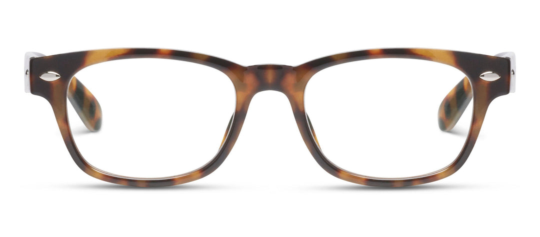 Clark Focus (Blue Light): Gray Tortoise / Reading / 4.00