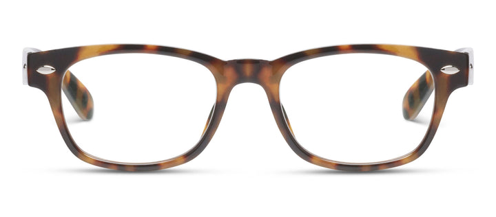 Clark Focus (Blue Light): Honey Tortoise / Reading / 1.75