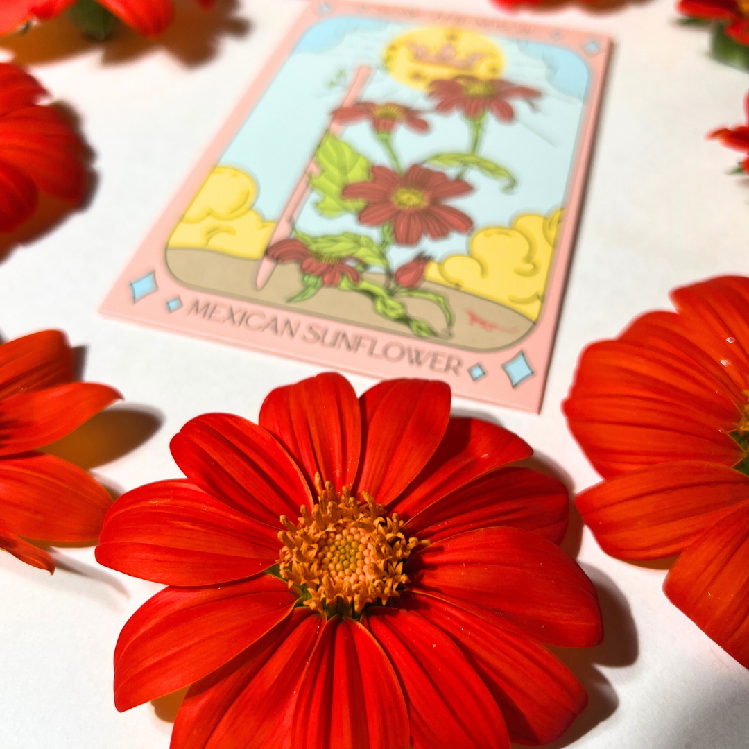 Seeds Mexican Sunflower