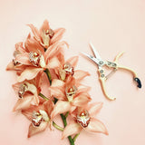 Pruning Shears - Vanilla