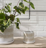 Linden Pot with Saucer - Small
