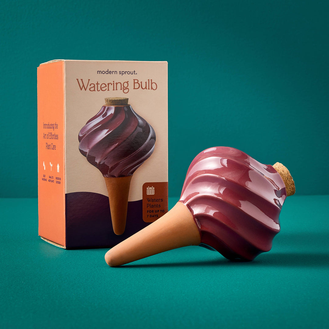 Terracotta Watering Bulb: Sage