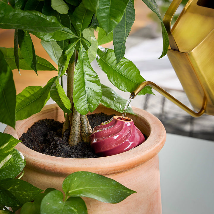 Terracotta Watering Bulb: Sage