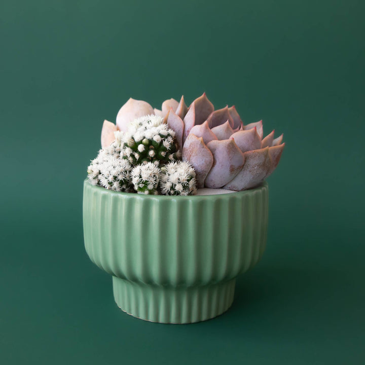 Presley Pedestal Pot | Jade: 4.5 inch