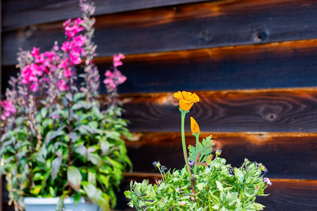 California Poppy Pick -Painted