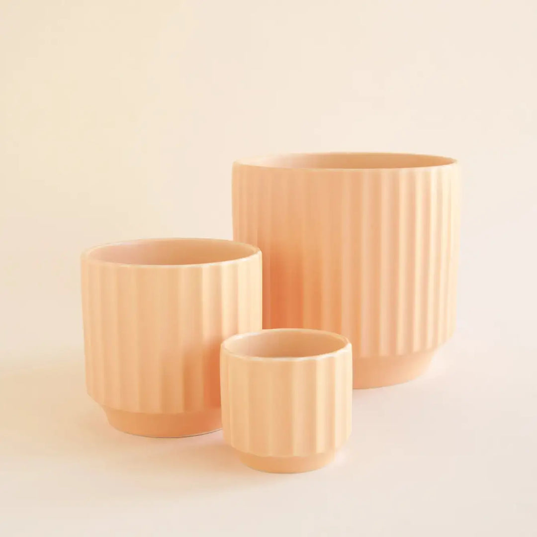 Monroe Planter | Sunset : 3 inch