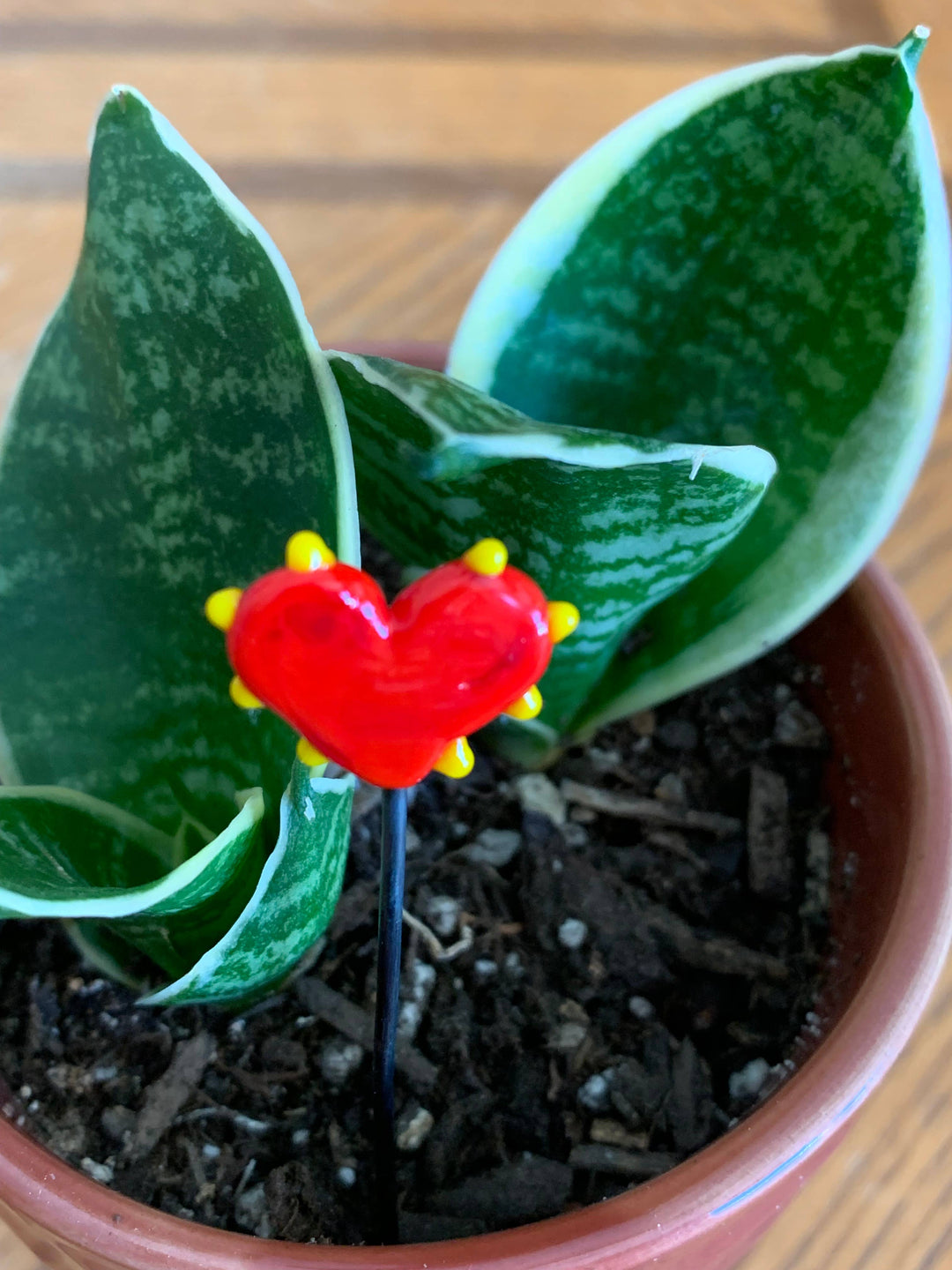 Heart Plant Sticks: Red Glass with Yellow Dots
