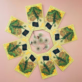 Seeds Dandelion Tarot Garden