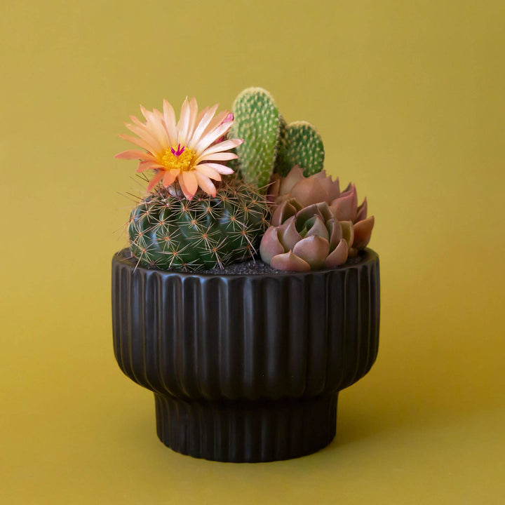 Presley Pedestal Planter - Black 4.5 inch
