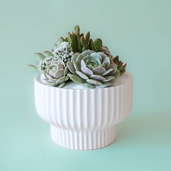 Presley Pedestal Planter - White 4.5 inch