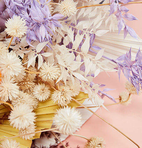 Dried Eryngium